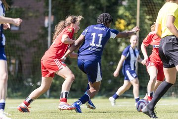 Bild 312 - wBJ Hamburger SV - Hertha BSC : Ergebnis: 5:2